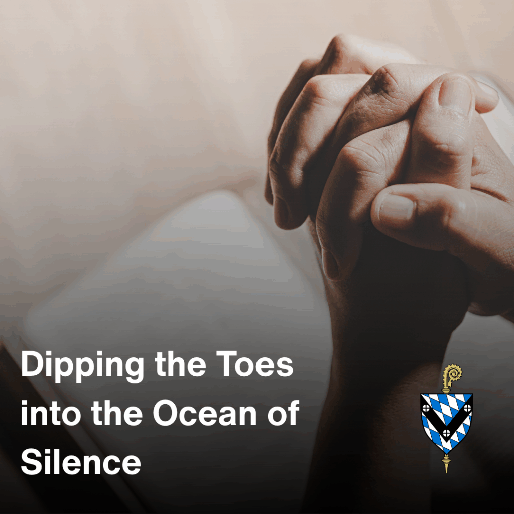 The programs featured image