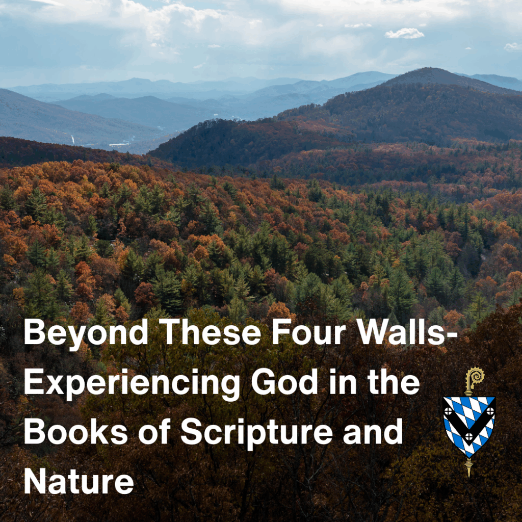 The programs featured image