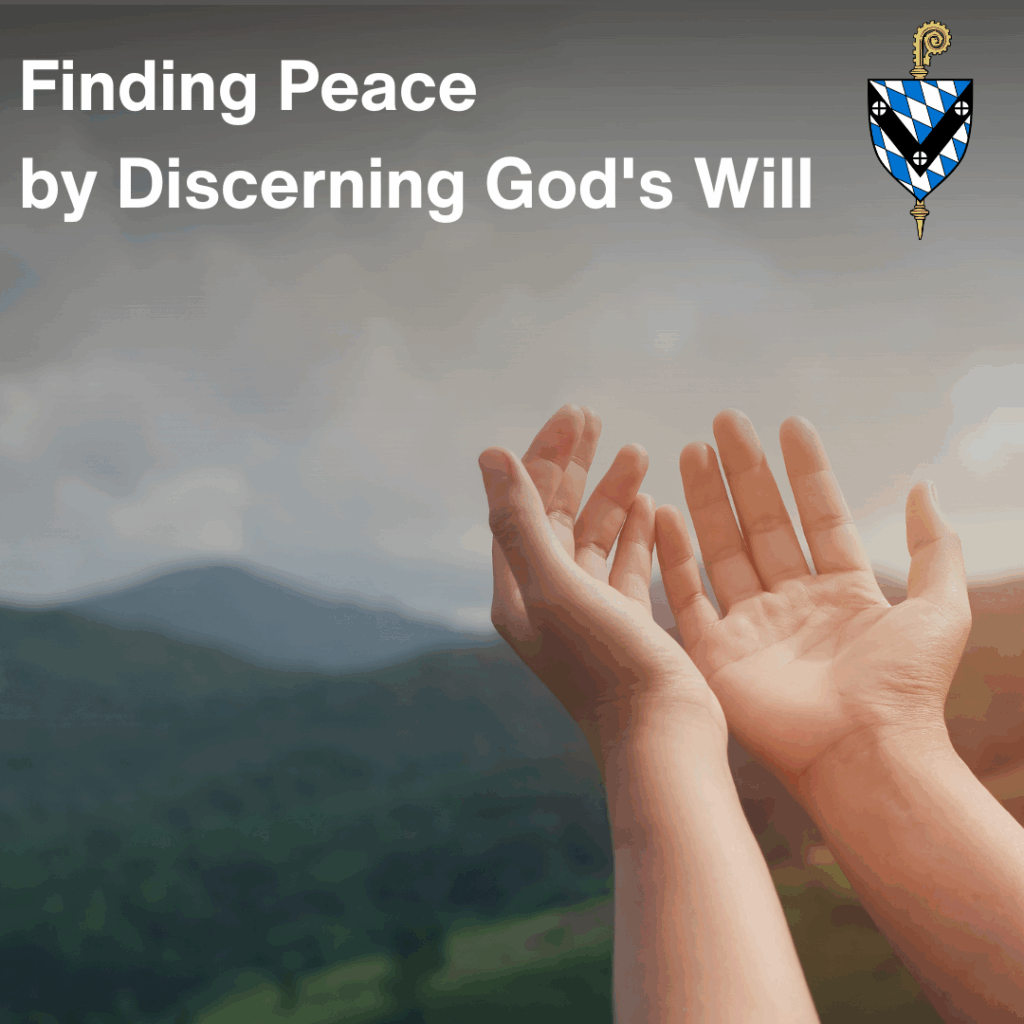 The programs featured image